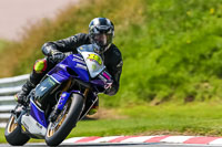 PJ-Motorsport-Photography-2020;anglesey;brands-hatch;cadwell-park;croft;donington-park;enduro-digital-images;event-digital-images;eventdigitalimages;mallory;no-limits;oulton-park;peter-wileman-photography;racing-digital-images;silverstone;snetterton;trackday-digital-images;trackday-photos;vmcc-banbury-run;welsh-2-day-enduro
